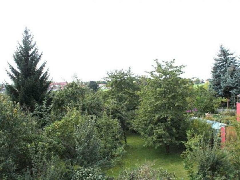 דרזדן Exklusive Ferienwohnung An Der Elbe מראה חיצוני תמונה